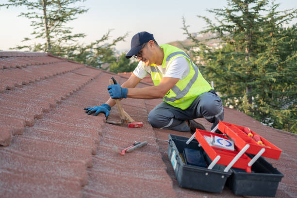 Best Roof Leak Repair  in Farmington, MS
